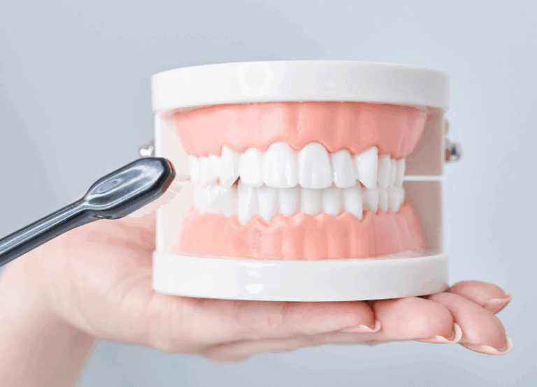 ブラッシング指導｜こばやし歯科